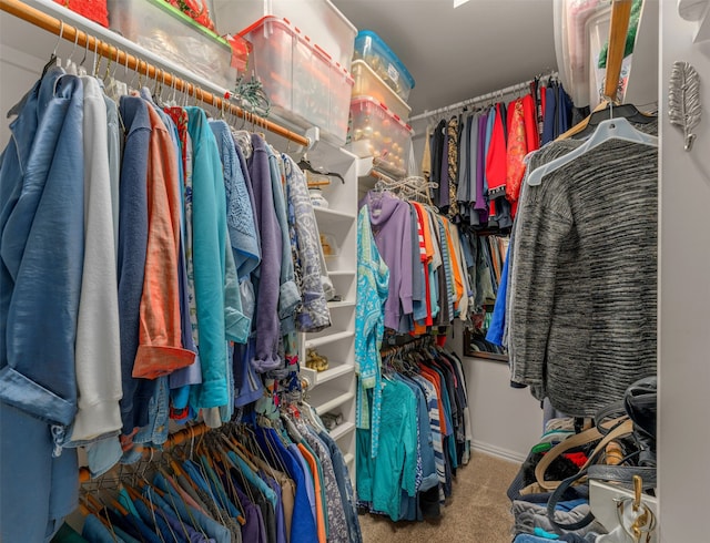 walk in closet featuring carpet