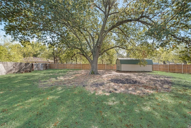 view of yard featuring a storage unit