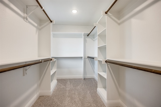 walk in closet with light colored carpet