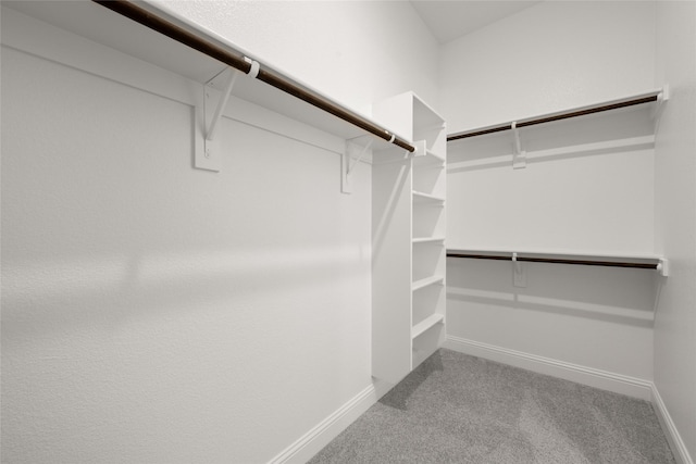 spacious closet with carpet flooring