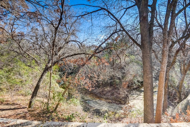 view of local wilderness