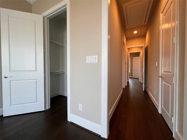 corridor with dark wood-type flooring