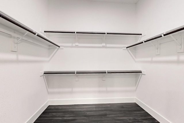 walk in closet featuring dark wood-type flooring