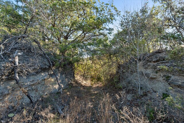 view of local wilderness