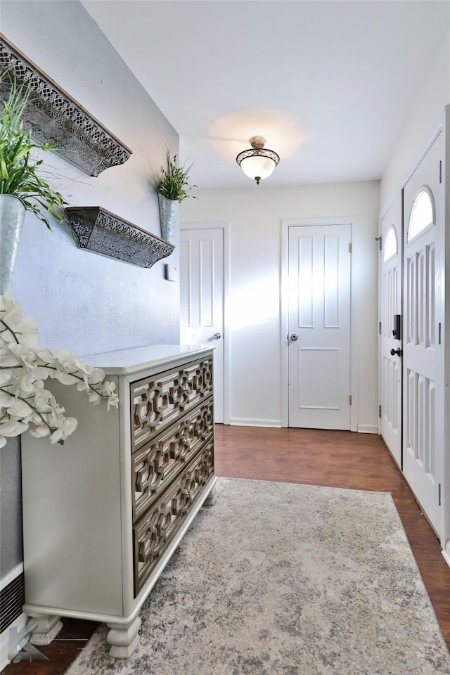 entrance foyer with dark wood-type flooring