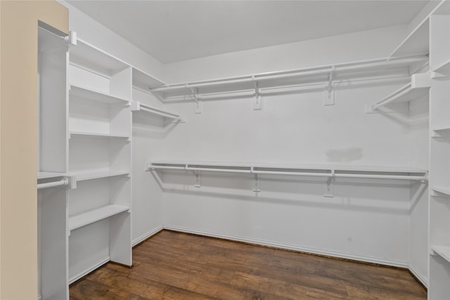 spacious closet featuring dark hardwood / wood-style floors