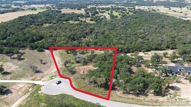 Listing photo 2 for 2041 Lacee Ct, Granbury TX 76048