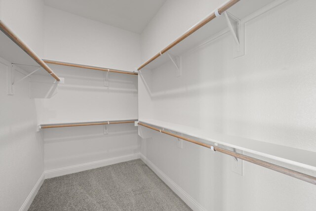 spacious closet with light colored carpet