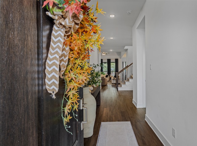 corridor featuring dark hardwood / wood-style flooring