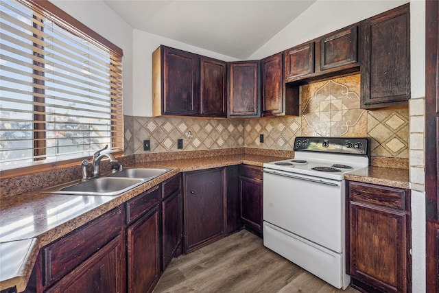 kitchen featuring plenty of natural light, hardwood / wood-style flooring, sink, and white range with electric cooktop