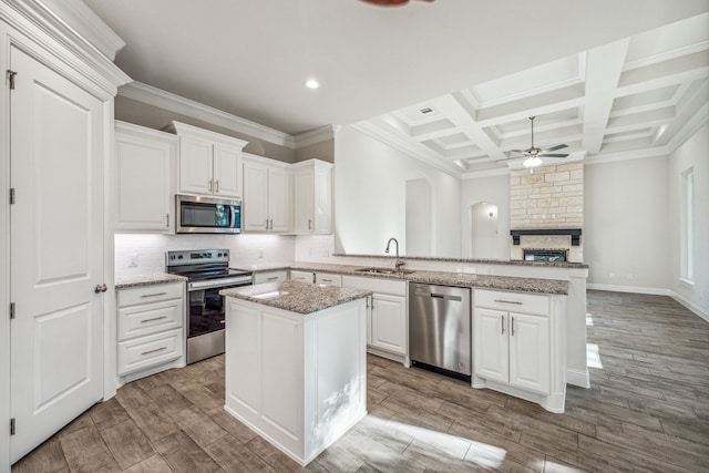 kitchen featuring ceiling fan, sink, hardwood / wood-style floors, and appliances with stainless steel finishes