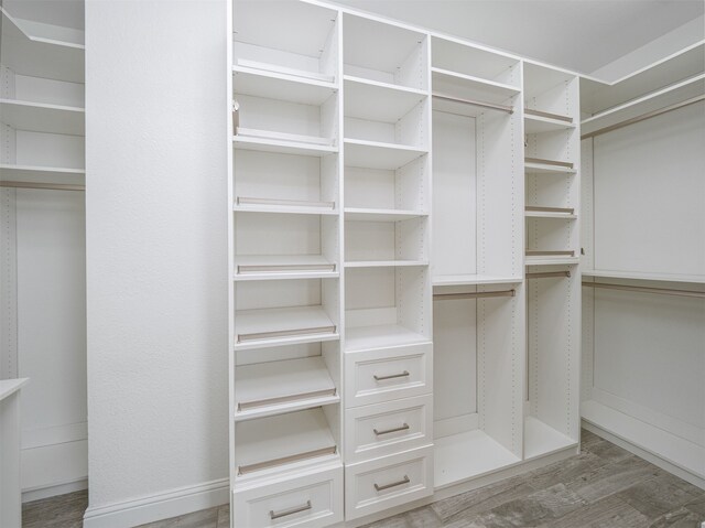 spacious closet featuring wood-type flooring