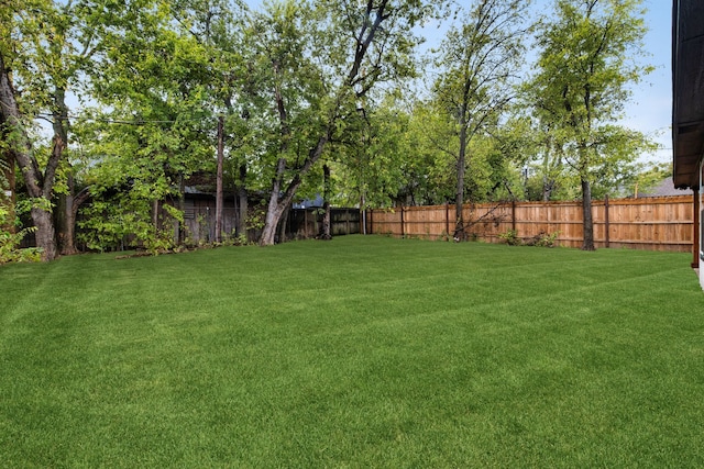 view of yard