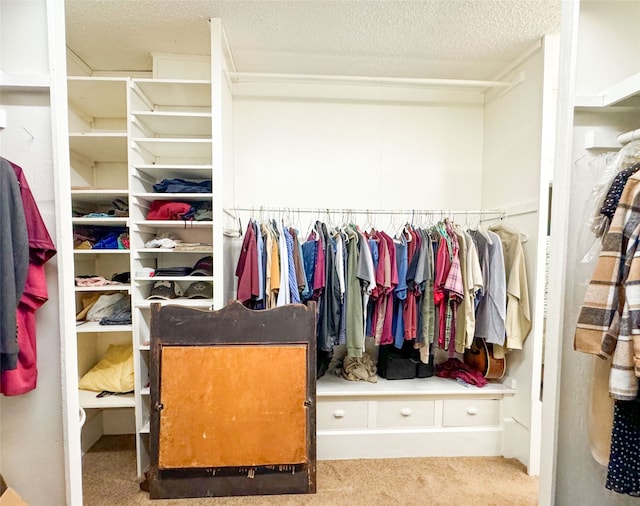 walk in closet with carpet