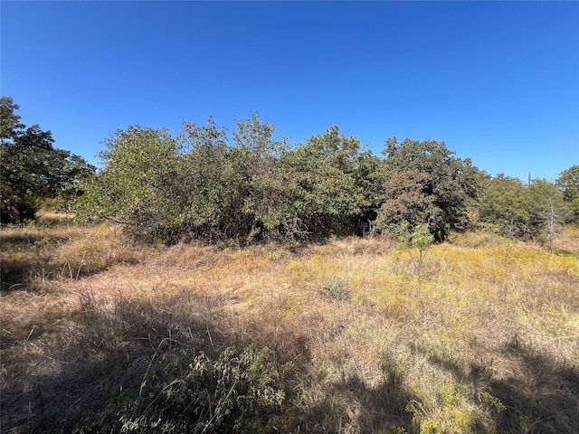 Listing photo 3 for TBD Wild Hill Oak Dr, Springtown TX 76082