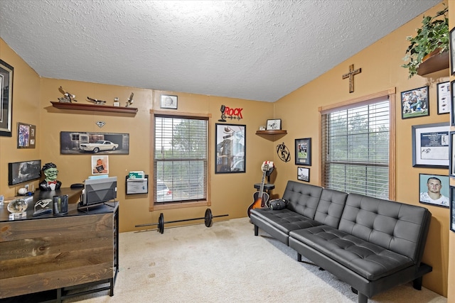 sitting room with carpet flooring and a textured ceiling