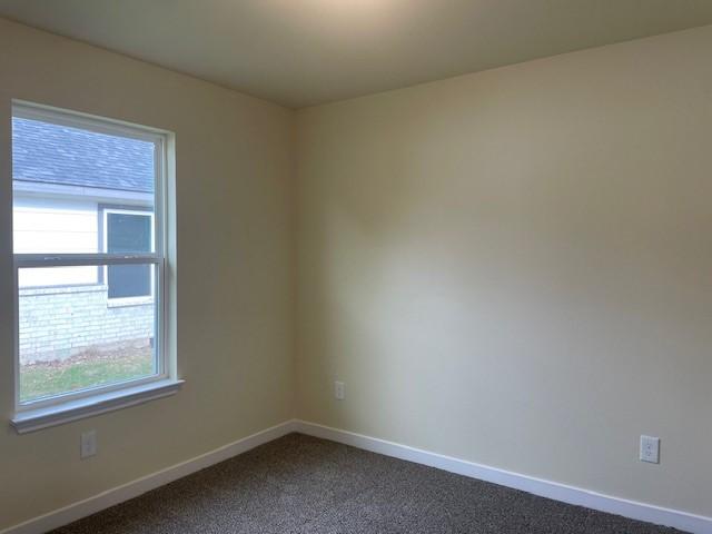 spare room with carpet floors