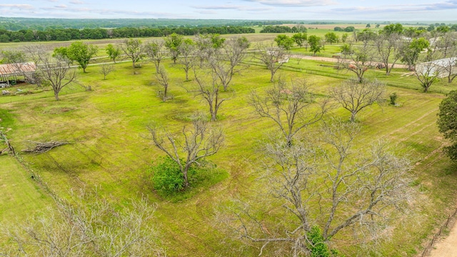 drone / aerial view featuring a rural view