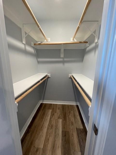 spacious closet with dark hardwood / wood-style flooring