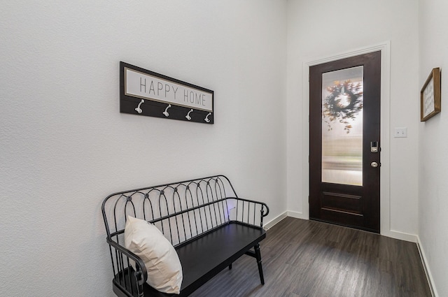 foyer entrance featuring dark hardwood / wood-style floors