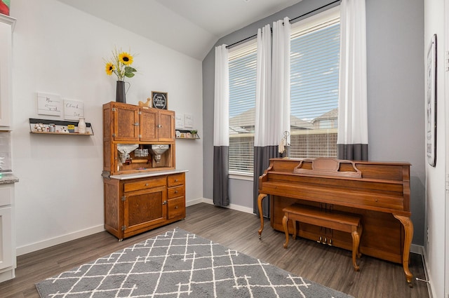 miscellaneous room featuring dark wood-type flooring and vaulted ceiling