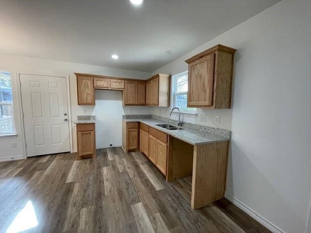 kitchen with dark hardwood / wood-style flooring and sink