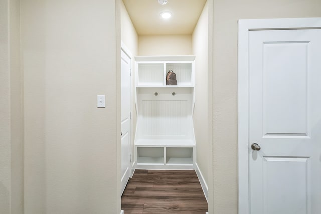 mudroom with dark hardwood / wood-style flooring