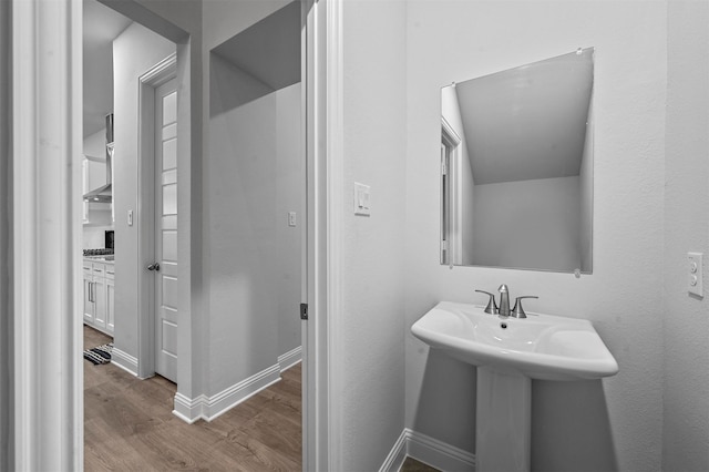 bathroom featuring wood-type flooring