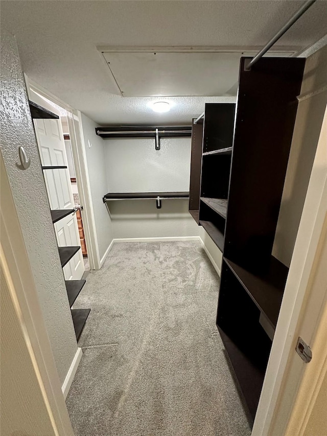 walk in closet featuring light carpet