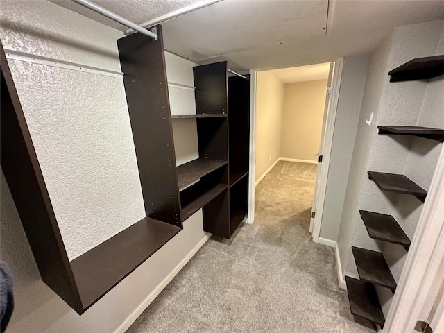 spacious closet with light carpet