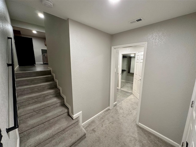 stairway featuring carpet flooring