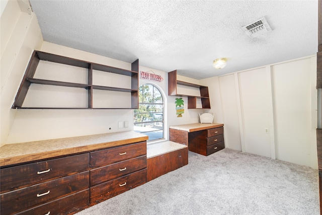 kitchen with dark brown cabinets, light colored carpet, and a textured ceiling