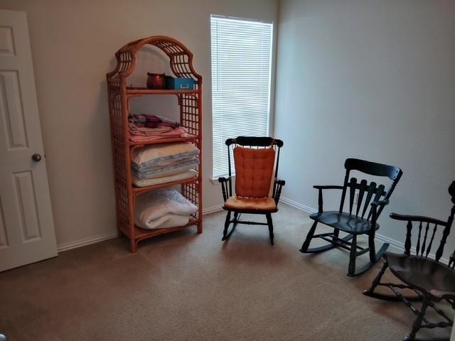 living area with carpet floors