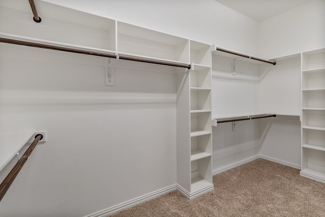 walk in closet featuring light colored carpet