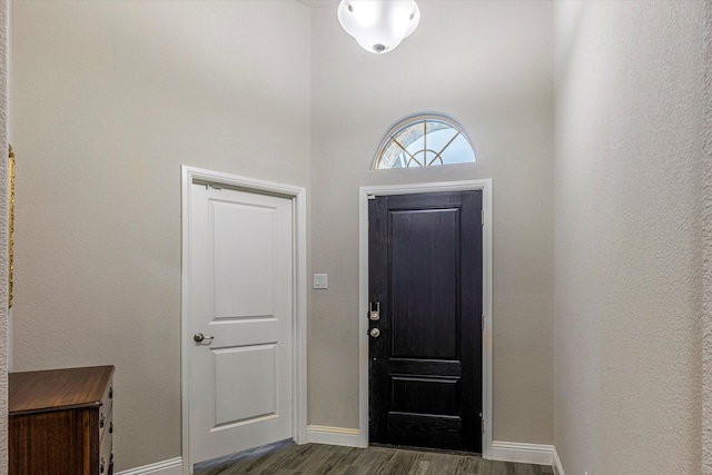 foyer with dark hardwood / wood-style flooring