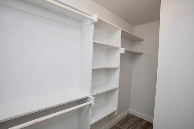 walk in closet with dark wood-type flooring