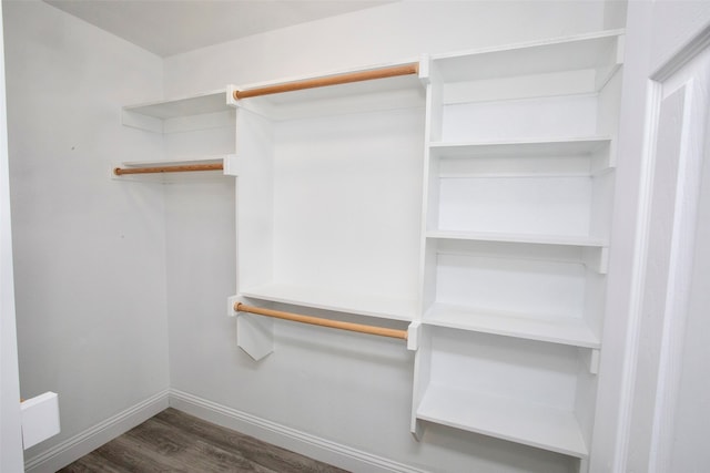 spacious closet featuring dark hardwood / wood-style floors