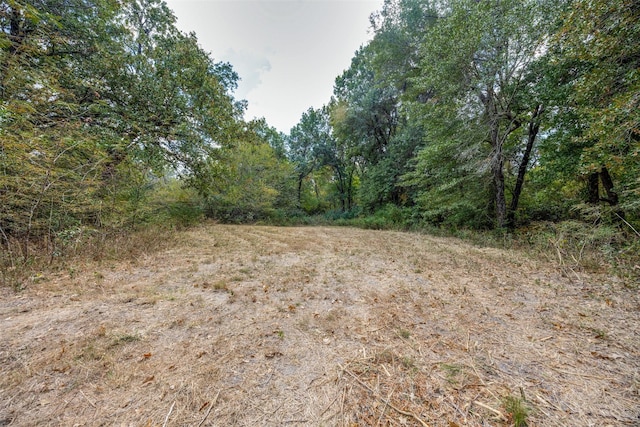 1345 Fm 1563, Wolfe City, TX 75496 - view of nature