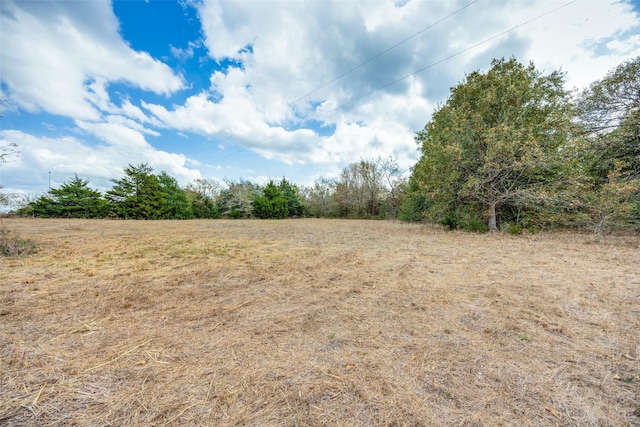 1345 Fm 1563, Wolfe City, TX 75496 - view of nature