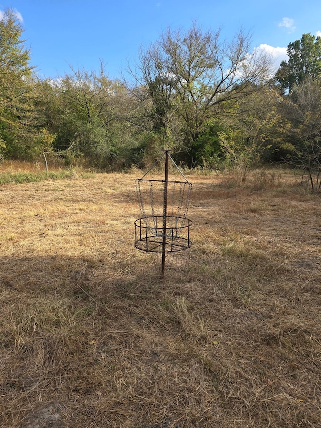 1345 Fm 1563, Wolfe City, TX 75496 - view of yard