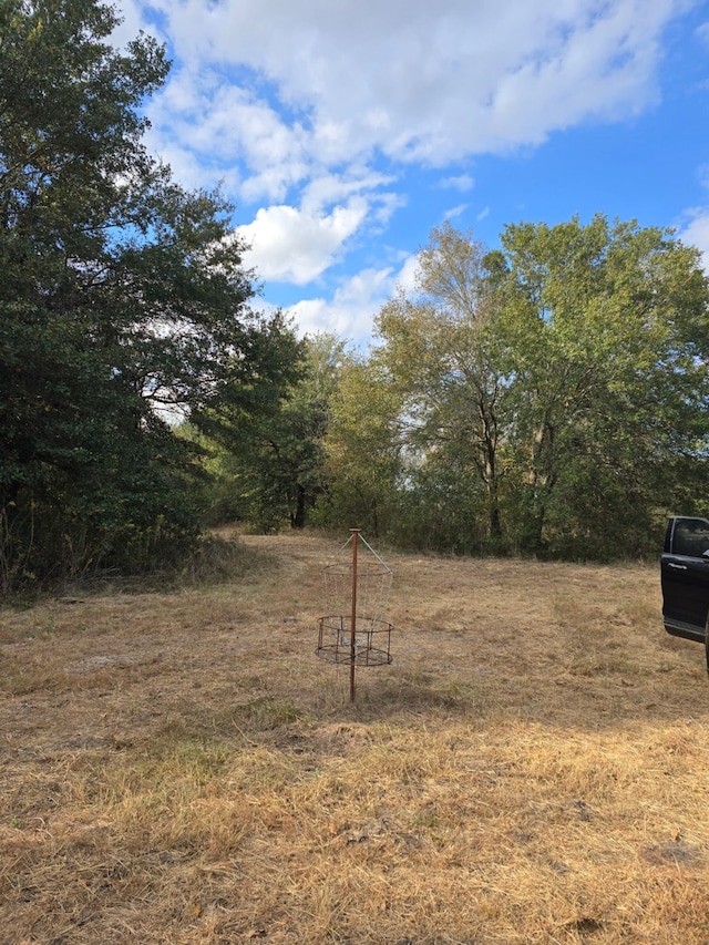 1345 Fm 1563, Wolfe City, TX 75496 - view of yard
