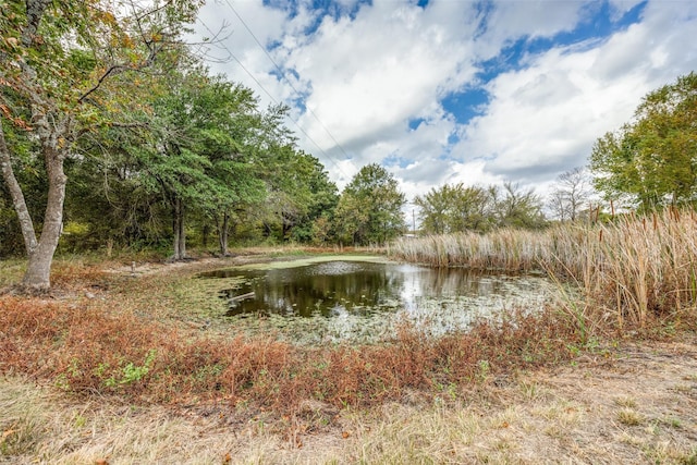 1345 Fm 1563, Wolfe City, TX 75496 - water view