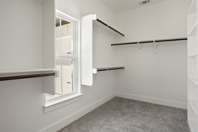 spacious closet featuring carpet flooring