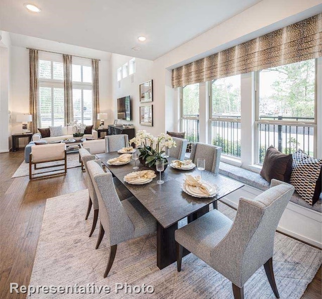 dining area featuring wood-type flooring