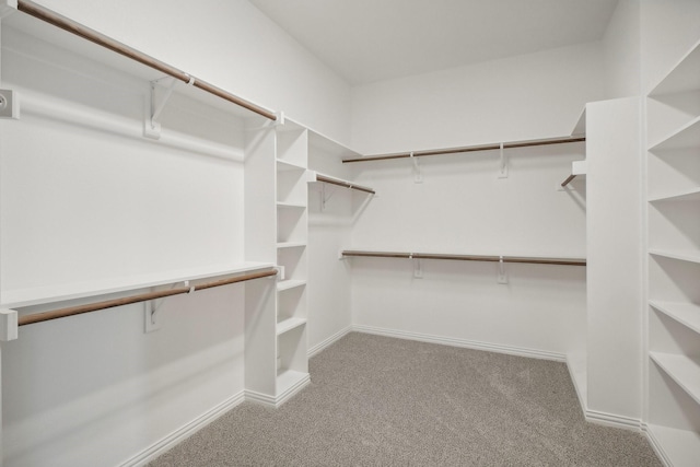 walk in closet with light carpet