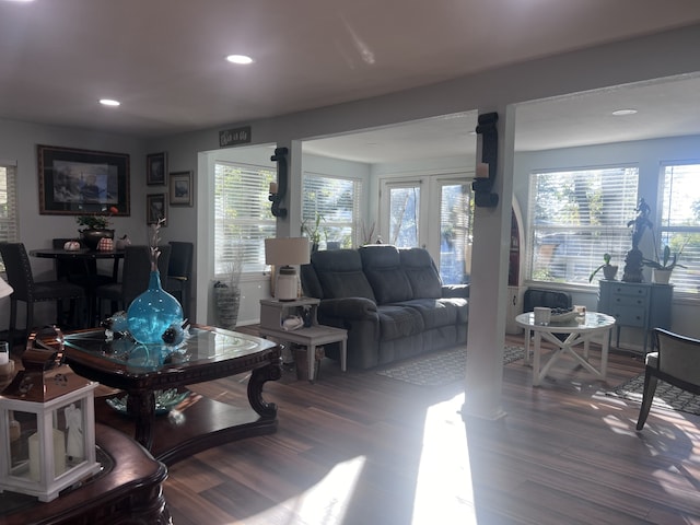 living room featuring wood-type flooring