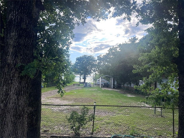 488 Briggs Blvd, East Tawakoni, TX 75472 - view of yard
