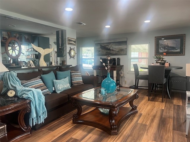 living room with hardwood / wood-style flooring and a healthy amount of sunlight