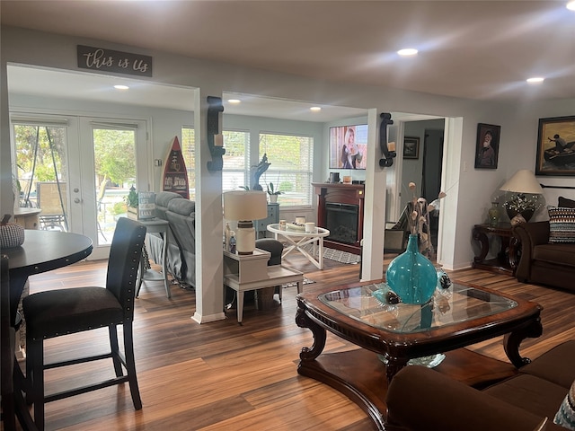 living room featuring hardwood / wood-style flooring, french doors, and a healthy amount of sunlight