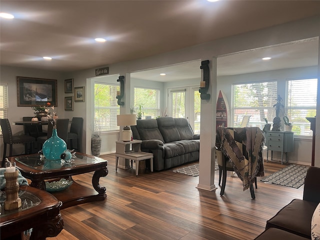 living room with a healthy amount of sunlight and dark wood-type flooring